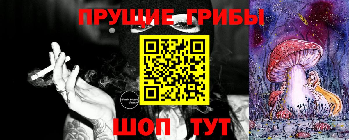 Галлюциногенные грибы Magic Shrooms  купить наркотик  Вязьма  Псилоцибиновые грибы мицелий  Вход с VPN 